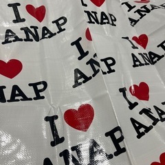 未使用　ANAP アナップ　レジャーシートの画像