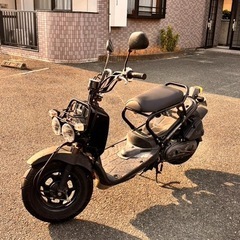 ズーマーの画像
