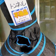猫 おもちゃ 猫トンネル