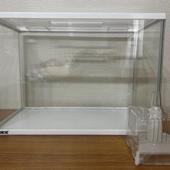 GEX 40cm水槽 中古品の画像