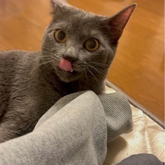 よろしくお願いします。