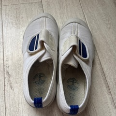 小学生 体育館シューズ