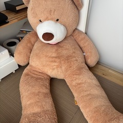 コストコ　クマのぬいぐるみ
　　