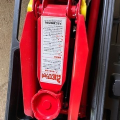 ジャッキーの画像