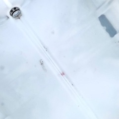 お値下げしました　　タンク IBCタンク パレット付き 1000L 積載荷重2253kg 薬剤タンク 貯水タンク 大型タンク タンク 輸送容器 IBC容器 (1000L)の画像