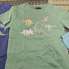 Tシャツ　　恐竜　ビームスミニの画像