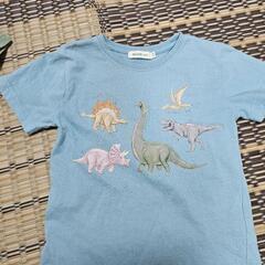 Tシャツ　　恐竜　ビームスミニの画像