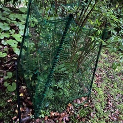 動物対策のネットと杭の画像