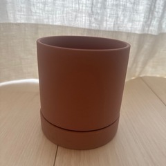 鉢の画像