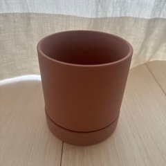 鉢