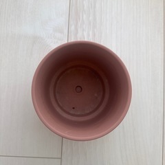 鉢の画像
