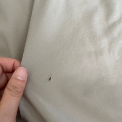最終値下げ！Miji無印良品　体にフィットソファ、柔らかく座りやすいの画像