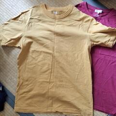 メンズTシャツМの画像
