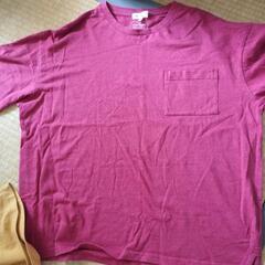 メンズTシャツМの画像