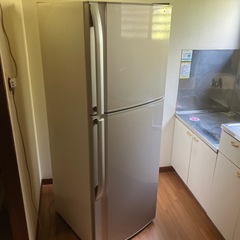 冷蔵庫今週限定❗️
