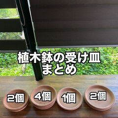 植木鉢　受け皿　テラコッタ　園芸　ガーデニング