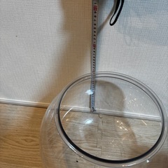 猫　金魚鉢　プラスチックの画像