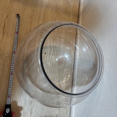 猫　金魚鉢　プラスチックの画像