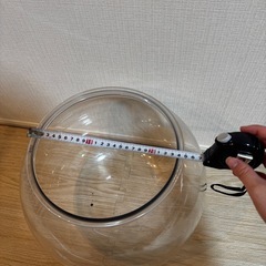 猫　金魚鉢　プラスチックの画像