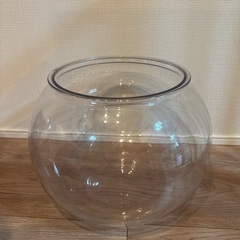 猫　金魚鉢　プラスチック