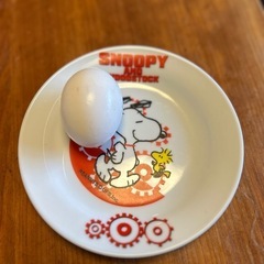 スヌーピーのお皿
