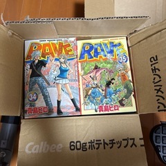 RAVE 全巻
