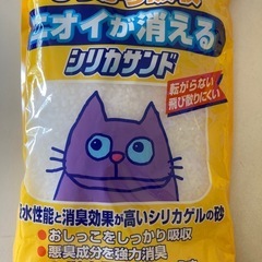 猫砂の画像