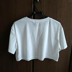 【中古美品】レディースLの画像