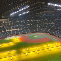 北海道日本ハムファイターズ　エスコンフィールド入場券