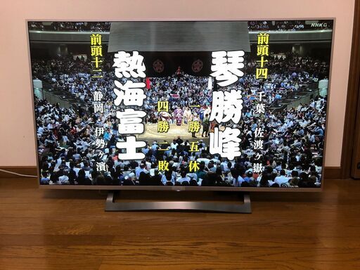 SONY BRAVIA KJ-49X8300DS ( You Tubeなどネット環境があれば観れます）