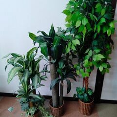 フェイクグリーン インテリアグリーン 人工観葉植物 1つ1500円