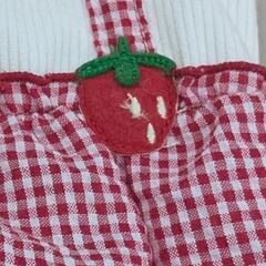 🍓わんこ用お洋服いちご🍓の画像