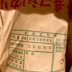 コシヒカリ！25000→20000！早い者勝ち！の画像