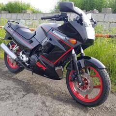カワサキ　Kawasaki　EX250E　GPX250R　GPX...