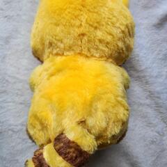 購入者決定！　ラスカル　ぬいぐるみの画像