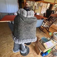 コートの画像