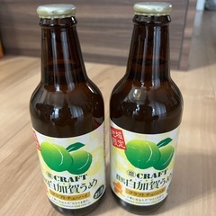 クラフトチューハイ『寶CRAFT』＜群馬白加賀うめ＞ 330ml 2本セットの画像