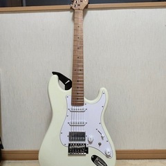 【美品】Eris Nestia エレキギター初心者セット 14点...