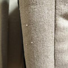 ニトリ高座椅子の画像