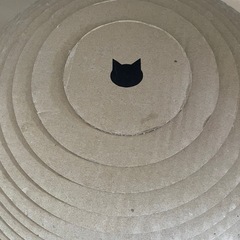 猫壱　猫ちぐらの画像