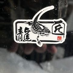 龍匠ケージ