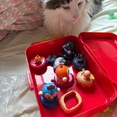 アンパンマンキャリア