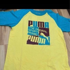 PUMATシャツ150