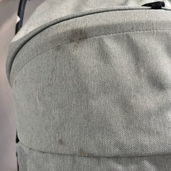 【決まりました】ピジョン ランフィエアリーの画像