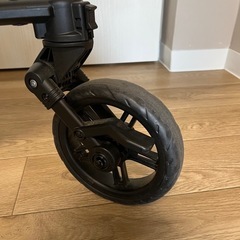 【決まりました】ピジョン ランフィエアリーの画像