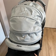 【決まりました】ピジョン ランフィエアリーの画像