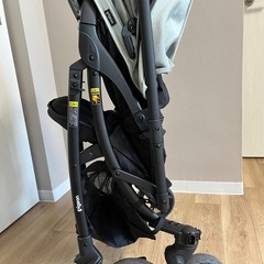 【決まりました】ピジョン ランフィエアリーの画像