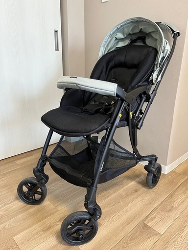 【決まりました】ピジョン ランフィエアリー