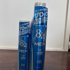 メンズ　スプレー　8×4