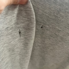 決まりましたの画像